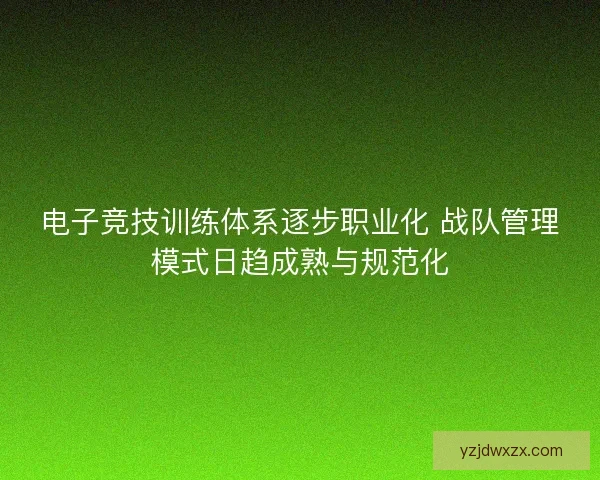 电子竞技训练体系逐步职业化 战队管理模式日趋成熟与规范化 电子竞技训练体系逐步职业化 战队管理模式日趋成熟与规范化